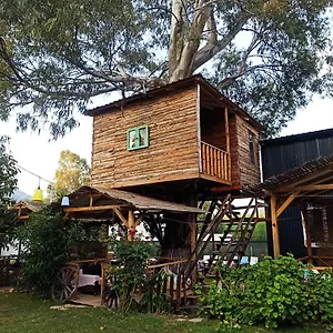 Oda ve Kahvaltı Daidala Life, Göcek